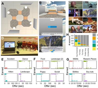 Vicarious Trial-and-Error Is Enhanced During Deliberation in Human Virtual Navigation in a Translational Foraging Task